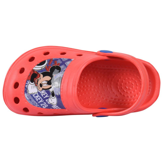 Disney Garden Disney Garden